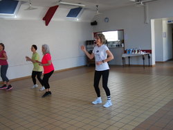 festival danses plurielles