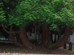 Voyage en Angleterre